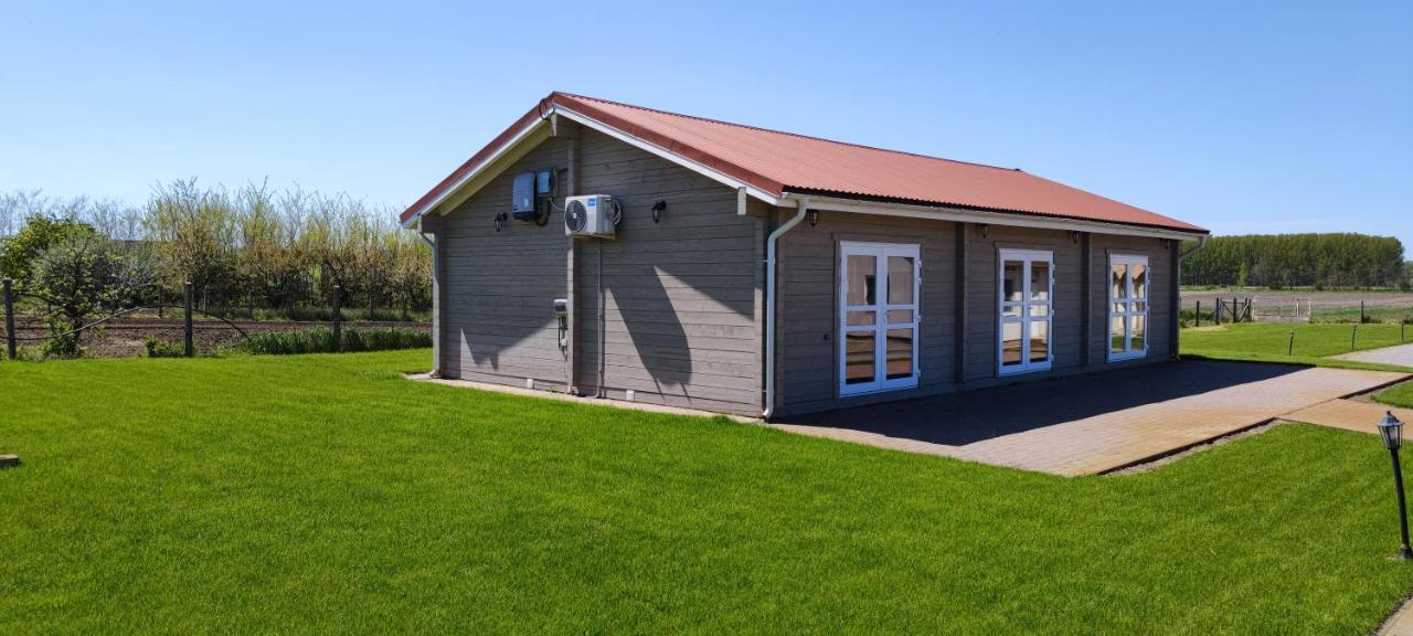 Village Garden Family Guest House Tiszakanyár Exteriör bild